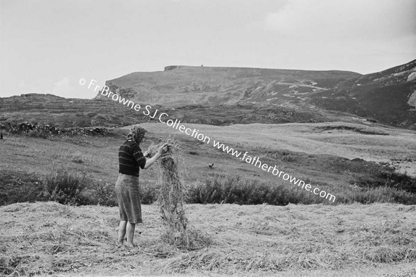 HAY MAKING